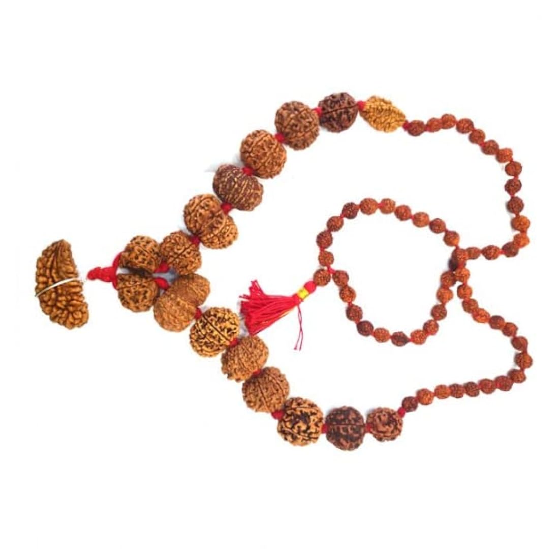 1-14 Mukhi Rudraksha mala - Shivashakti
