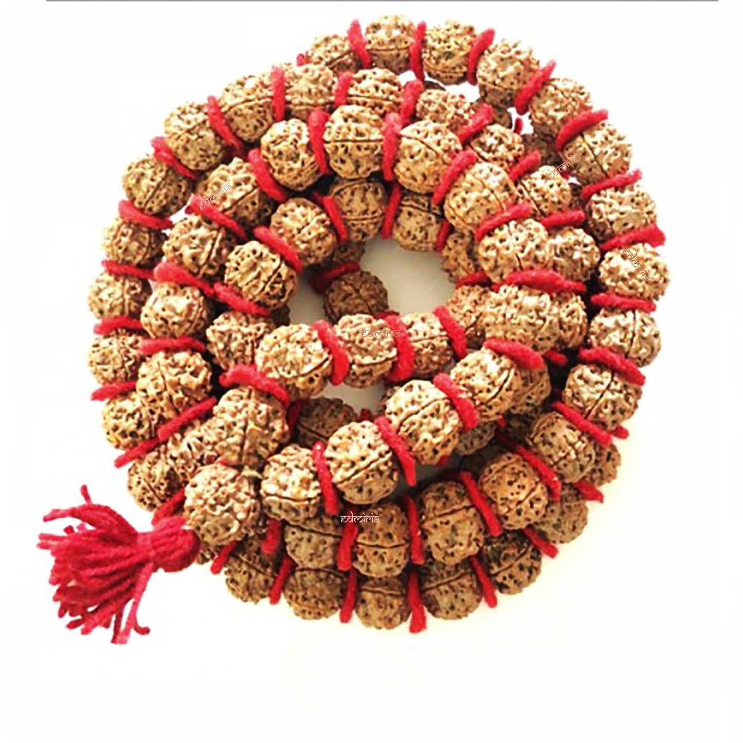 Rudraksha necklace 54 beads - Shivashakti