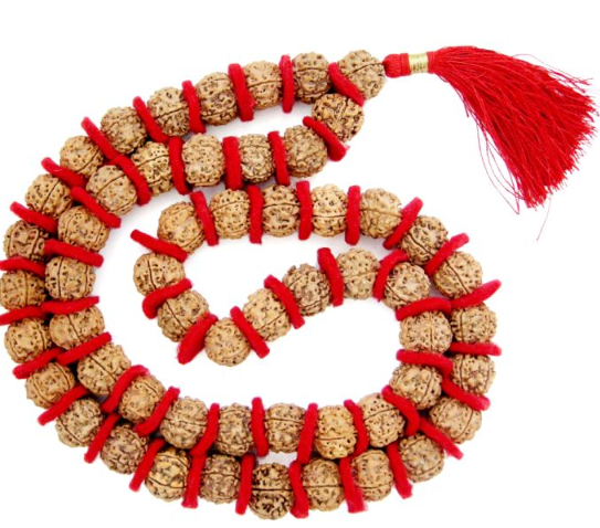 Rudraksha necklace 54 beads - Shivashakti