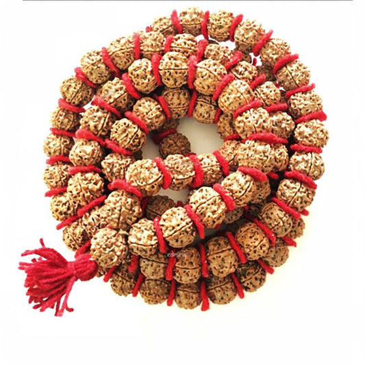 Rudraksha necklace 54 beads - Shivashakti
